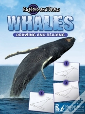 Capa do artigo Whales