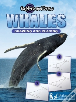 Capa do artigo Whales