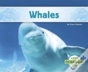 Capa do artigo Whales