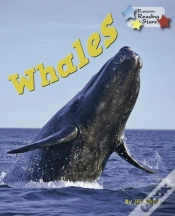 Capa do artigo Whales