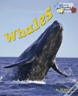 Capa do artigo Whales