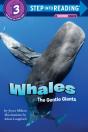 Whales - Preview