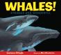 Whales! - Preview