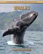 Whales - Preview
