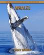 Whales - Preview