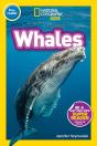 Whales (Pre-Reader) - Preview
