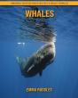 Whales - Preview