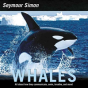 Whales - Preview