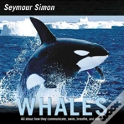 Capa do artigo Whales