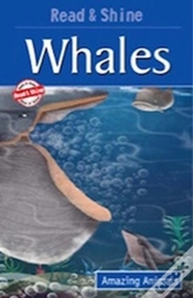 Capa do artigo Whales
