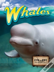 Capa do artigo Whales