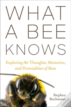 Capa do artigo What A Bee Knows
