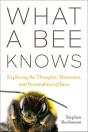 What A Bee Knows - Preview