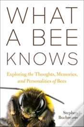 Capa do artigo What A Bee Knows