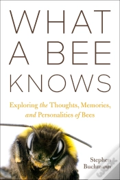 Capa do artigo What A Bee Knows