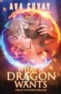 What A Dragon Wants - Preview