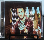 Capa do artigo What A Man Gotta Do (Kevin Version) - CD