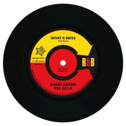 Capa do artigo What a Mess/Homework - Vinil