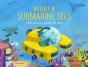 What A Submarine Sees - Preview
