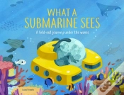 Capa do artigo What A Submarine Sees