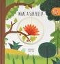 What A Surprise - Preview