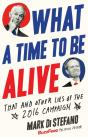What A Time To Be Alive - Preview