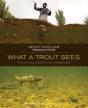 What A Trout Sees - Preview