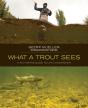 What A Trout Sees - Preview