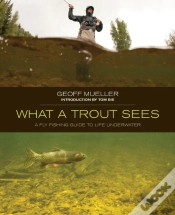 Capa do artigo What A Trout Sees