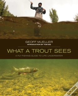 Capa do artigo What A Trout Sees