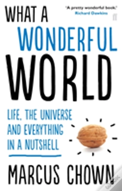 Capa do artigo What A Wonderful World