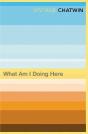 What Am I Doing Here? - Preview