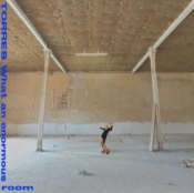 Capa do artigo What an Enormous Room - CD