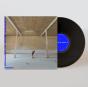 What an Enormous Room - Vinil - Preview