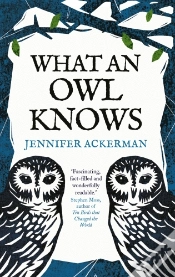Capa do artigo What An Owl Knows
