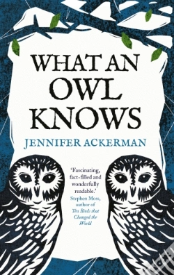 Capa do artigo What An Owl Knows