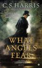 What Angels Fear - Preview