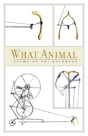 What Animal - Preview