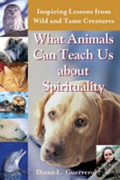 Capa do artigo What Animals Can Teach Us About Spirituality