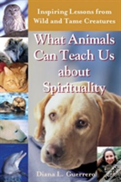 Capa do artigo What Animals Can Teach Us About Spirituality