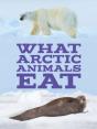 What Arctic Animals Eat - Preview