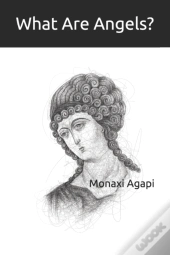 What Are Angels?