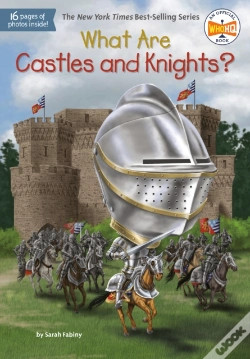 Capa do artigo What Are Castles And Knights?