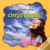 Capa do artigo What Are Cirrus Clouds?