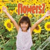 What Are Flowers