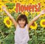 What Are Flowers - Preview