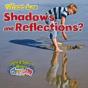What Are Shadows And Reflections? - Preview