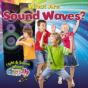 What Are Sound Waves? - Preview