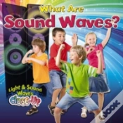 Capa do artigo What Are Sound Waves?