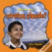 Capa do artigo What Are Stratus Clouds?